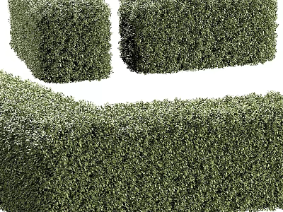 Neatly Trimmed Green Plant Combinations With Geometric Shapes For Landscape Design 3d model