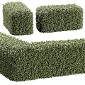 Neatly Trimmed Green Plant Combinations With Geometric Shapes For Landscape Design