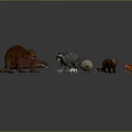 Detailed Small Wild Animal Character Models With Beaver Raccoon Fox And Hedgehog
