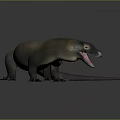 Realistic Komodo Dragon With Open Mouth Extended Tongue And Brown Green Body On Gray Background