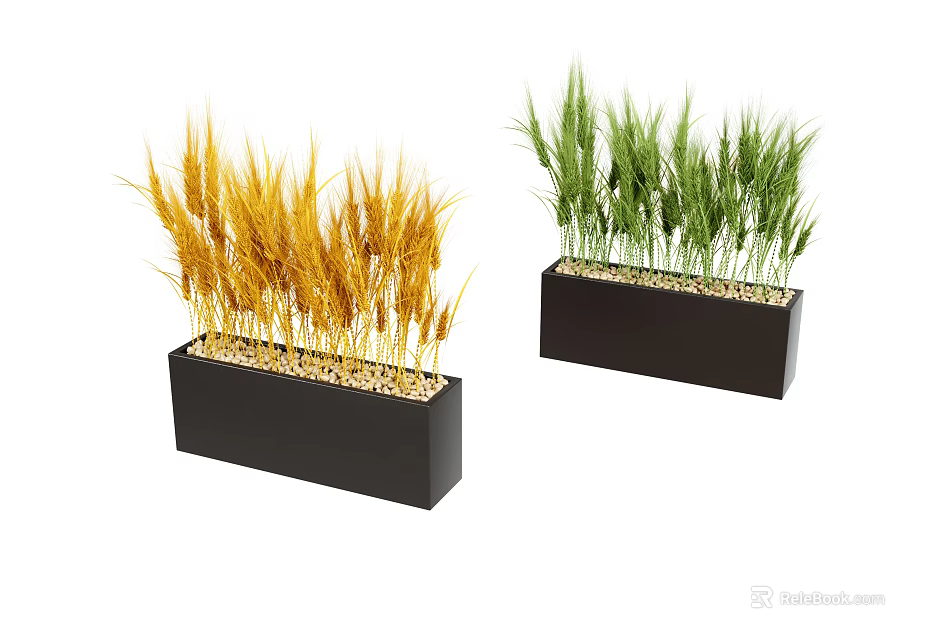 Bonsai Potted Plants With Yellow And Green Grass In Black Rectangular Planters 3d model