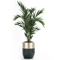 Various Green Potted Plants In Modern Gold Rimmed Planters For Indoor Decor