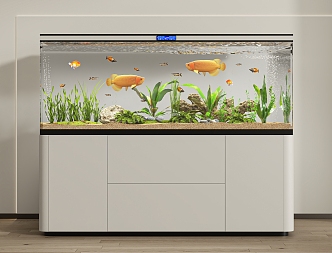 modern aquarium 3d model