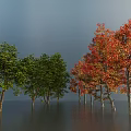 Green and Red Orange Leafy Trees Against Gray Sky With Water Reflection 3d model
