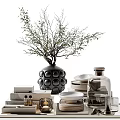 Modern Decorative Ornament Set With Black Dotted Vase Branches Ceramic Plates Glass Bottle And Books