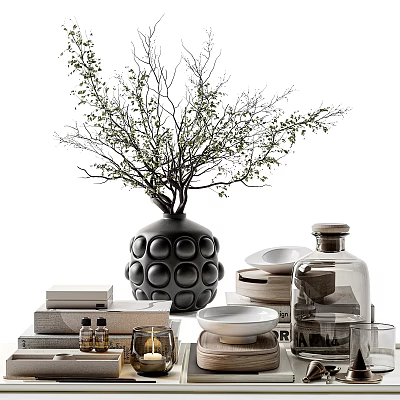 Modern Decorative Ornament Set With Black Dotted Vase Branches Ceramic Plates Glass Bottle And Books 3d model