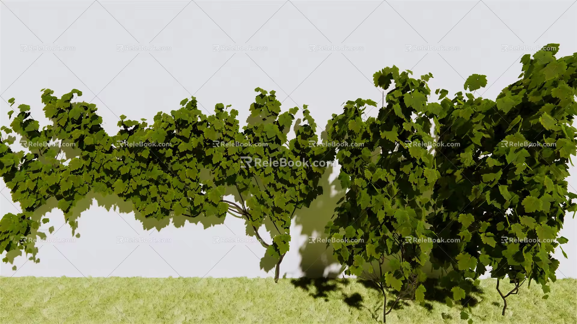 Modern Vine Grape Rack Grape 3d model