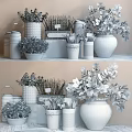 Various Decorative Bonsai Potted Plants In Different Containers With Greenery And Labels