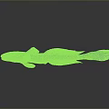 Yellowish Green And Black Fish With Orange Fins Sleek Body And Long Tail