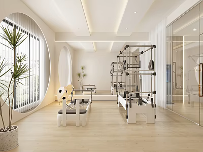 Modern Bright Pilates Studio With Equipment And Natural Light 3d model