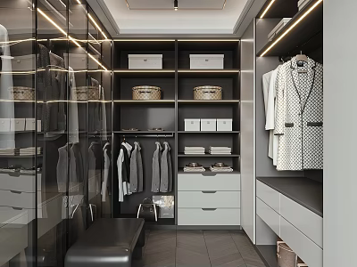 Modern Walk In Closet With Glass Doors Hanging Clothes Storage Baskets Drawers And Bench 3d model