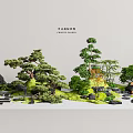 Traditional Chinese Courtyard Garden With Pine Trees Bamboo And Rock Formations