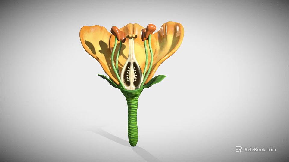 Yellow Flower With Vibrant Petals Green Stem And Central Stamen Structure 3d model 