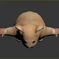 Cute Hamster Creature Character Standing With Outstretched Arms On Dark Background 3d model