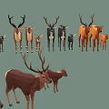 Group of Deer with Various Sizes Antlers and Fawns in Natural Scene