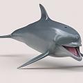 Dolphin Harbor Porpoise Marine Life Whale 3d model