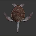Detailed View Of Sea Turtle Organs Shell Flippers And Head Structure