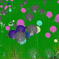 Beautiful White Fluffy Flowers Blooming In Green Grass With Colorful Small Flowers In Natural Meadow