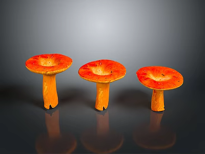Fresh Orange Mushrooms With Red Caps And Yellow Stems On Gray Background With Clear Reflections 3d model