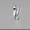 White Swan 3D Model With Spread Wings And Orange Black Beak On Gray Background