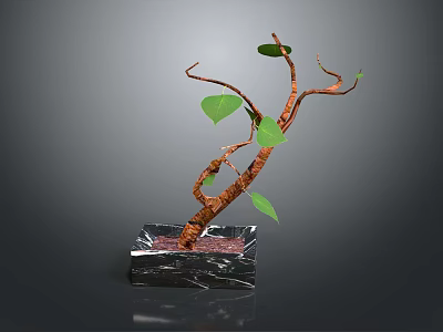 Decorative Potted Plant With Curved Brown Trunk Green Leaves And Black Marble Base 3d model