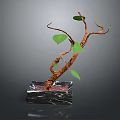 Decorative Potted Plant With Curved Brown Trunk Green Leaves And Black Marble Base