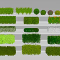 Lush Green Plant Combinations With Various Pruned Shapes For Garden Landscaping