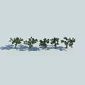 Five Arbor Trees 3D Models Displaying Different Postures Canopies And Shadows On Light Blue Background 3d model