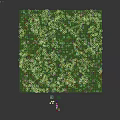 Delightful Garden Ornament With Lush Green Grass Tiny White Flowers And Sunlight Shadows