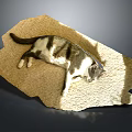 Calico Cat Lying Relaxed On Soft Beige Plush Carpet In Warm Sunlight