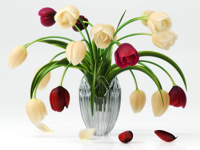 Transparent Glass Vase With White And Red Tulips And Scattered Petals 3d model