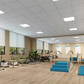 Hospital Outpatient Rehabilitation Training Room with Fitness Equipment Handrails Blue Steps and Green Plants