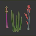 Decorative Cream White Plant Sculptures With Various Shapes On Gray Black Reflective Surface