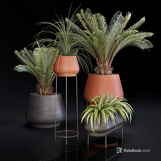 Bonsai Potted Plants with Lush Palm Fern Leaves in Terracotta Gray Pots on Metal Stands 3d model 