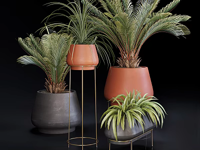 Bonsai Potted Plants with Lush Palm Fern Leaves in Terracotta Gray Pots on Metal Stands 3d model