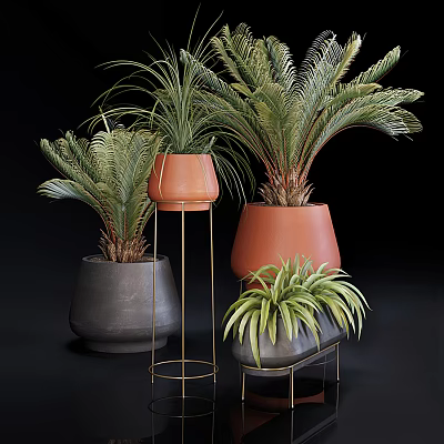 Bonsai Potted Plants with Lush Palm Fern Leaves in Terracotta Gray Pots on Metal Stands 3d model