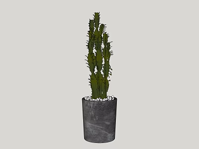 Cactus Bonsai Potted Plant in Gray Pot with White Pebbles Decoration 3d model
