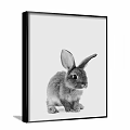 Black and White Rabbit Paintings with Front and Back Views in Framed Wall Art