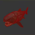 Aquatic Animal Predatory Fish With Open Mouth Sharp Teeth Brown Skin And Fins