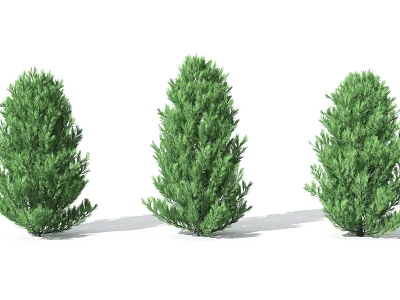 Tree 3d model Tree 3d model