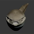 Unique Fish 3D Model With Streamlined Body Light Brown And Blue Colors