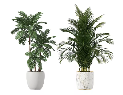 Large Green Potted Plants in White and Marble Textured Planters Home Decor 3d model