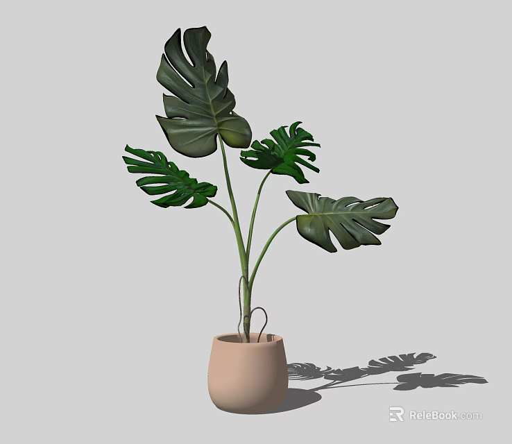 Monstera Potted Plant With Large Green Leaves In Light Brown Pot For Home Decor 3d model 