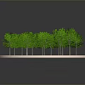 Vibrant Green Arbors Growing on Circular Platform with Lush Green Grass