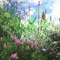 Vibrant Garden Flowers And Lush Green Plants With Pink Purple Blooms And Butterflies
