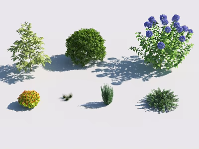 Various Garden Shrubs With Different Shapes Green Foliage And Purple Flowers 3d model