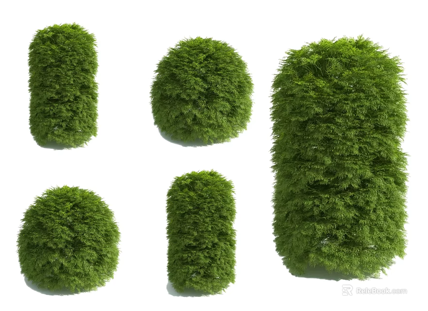 Collection of Green Shrubs in Various Round and Cylindrical Forms for Landscaping 3d model 