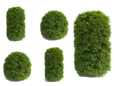 Collection of Green Shrubs in Various Round and Cylindrical Forms for Landscaping 3d model