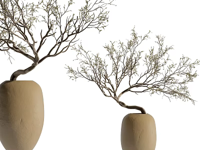 Natural Decorative Branches In Handcrafted Clay Vases For Home Interior 3d model