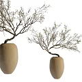 Natural Decorative Branches In Handcrafted Clay Vases For Home Interior